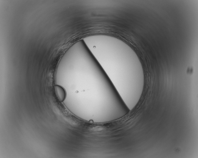 X0000111120551200906301044