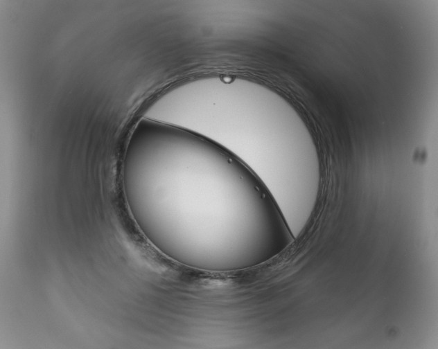X0000111120552200906301044