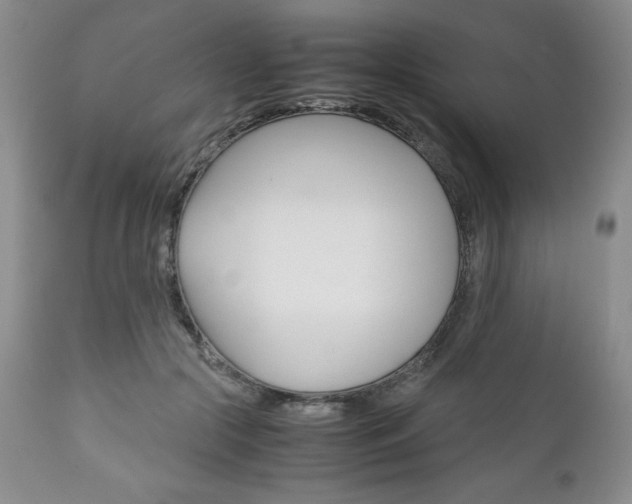 X0000111120553200906301044