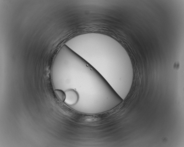 X0000111120555200906301044