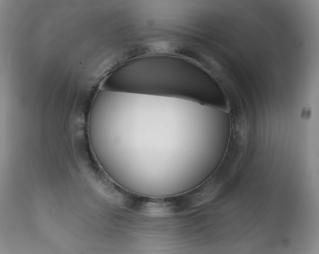 X0000111120556200906301044