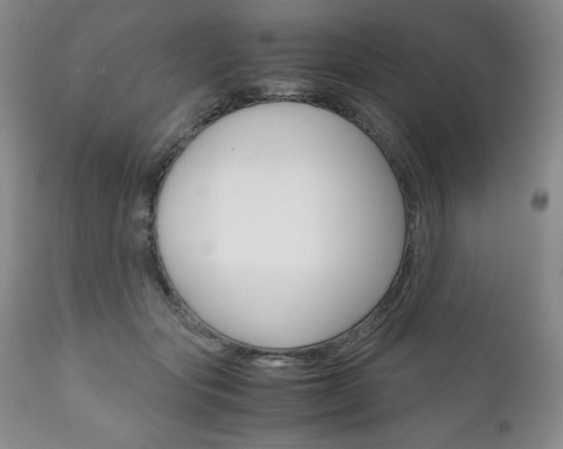 X0000111120557200906301044