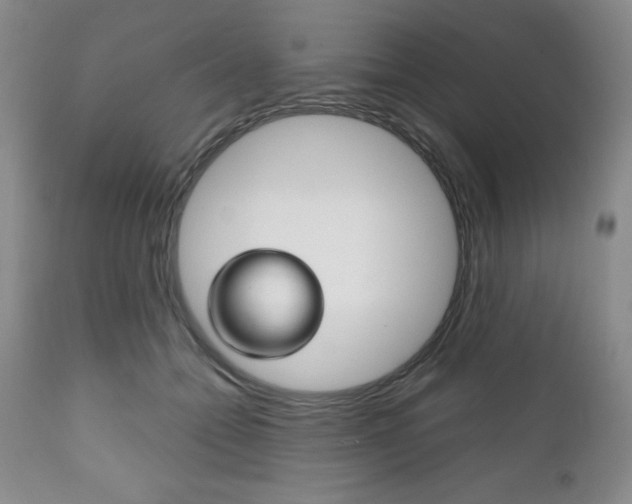 X0000111120558200906301044