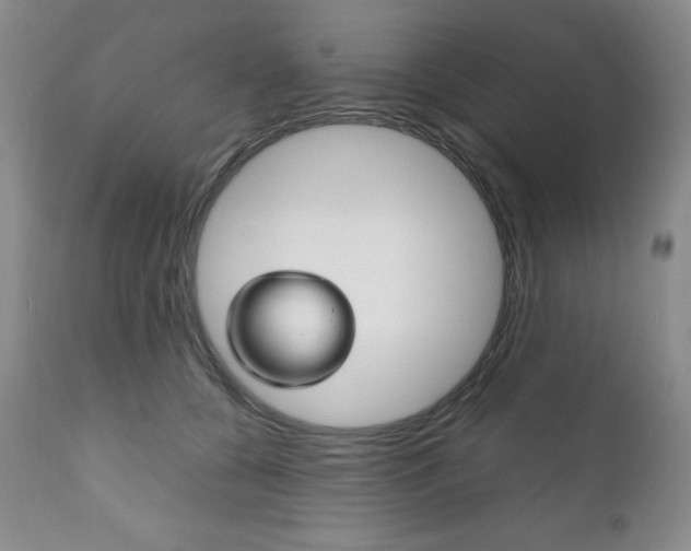 X0000111120560200906301044