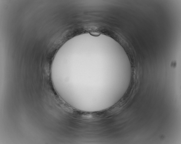 X0000111120561200906301044