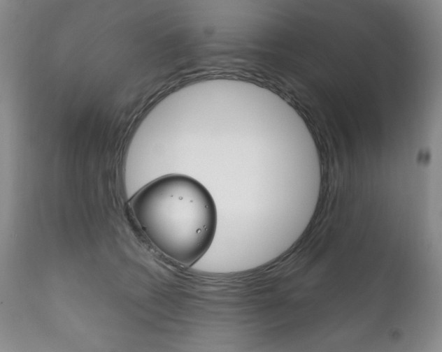 X0000111120562200906301044