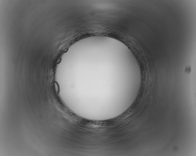 X0000111120563200906301044