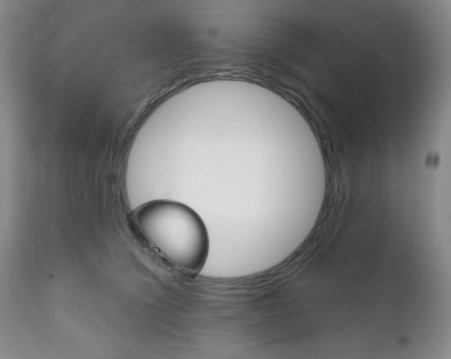X0000111120564200906301044