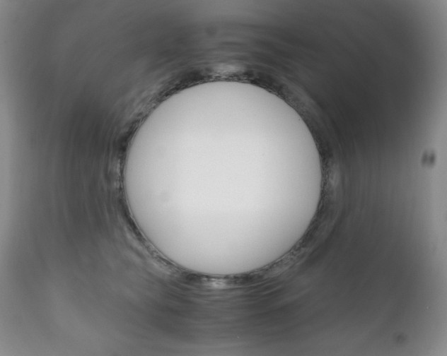 X0000111120565200906301044