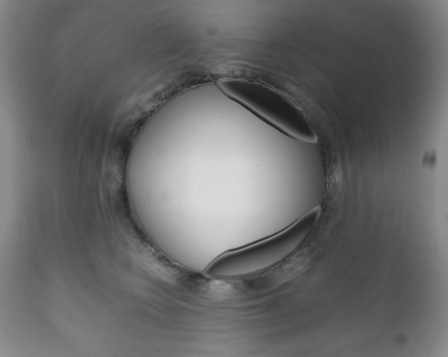 X0000111120566200906301044