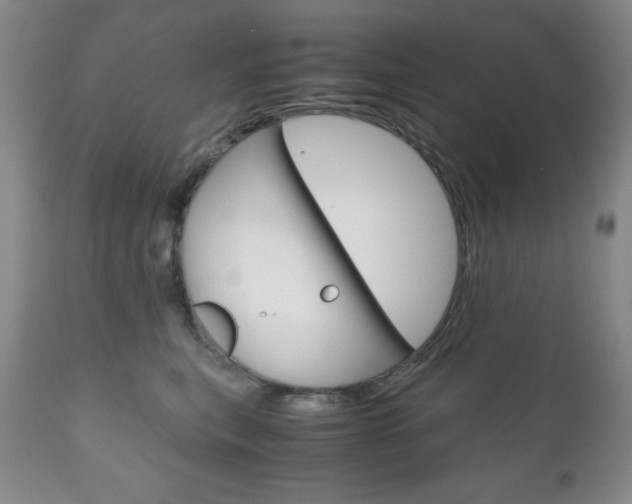 X0000111120567200906301044