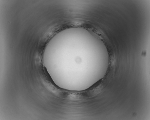 X0000111120568200906301044