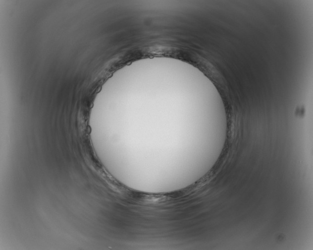 X0000111120569200906301044