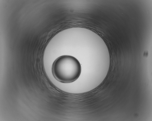 X0000111120570200906301044