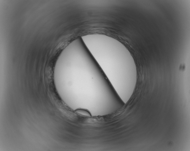 X0000111120571200906301044