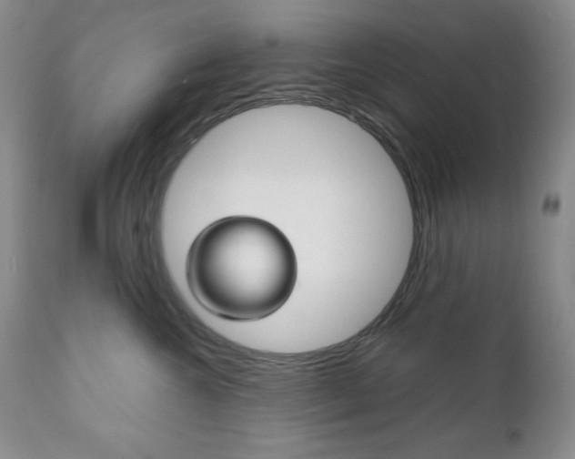 X0000111120572200906301044
