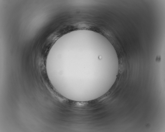 X0000111120573200906301044
