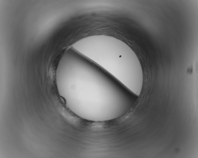 X0000111120574200906301044