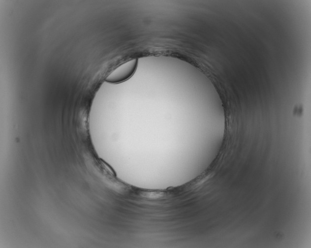 X0000111120575200906301044