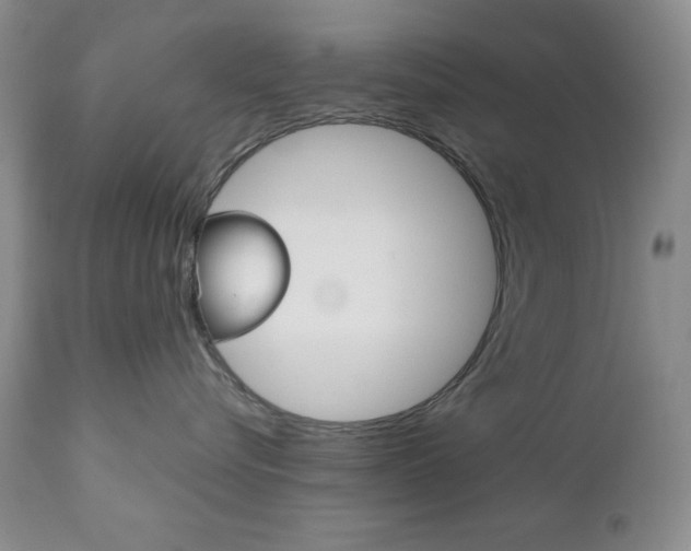 X0000111120576200906301044