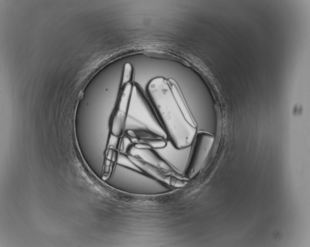 X0000111120577200906301043