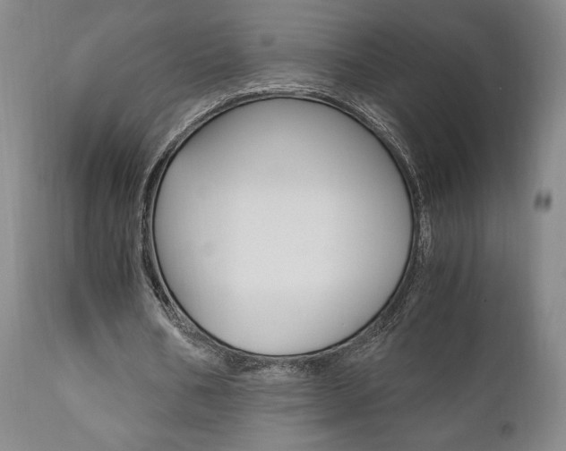 X0000111120578200906301043