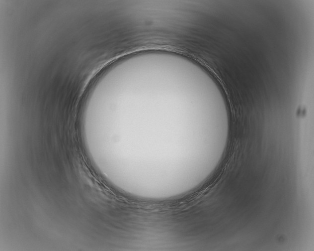 X0000111120579200906301043