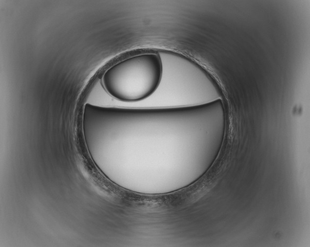 X0000111120580200906301043