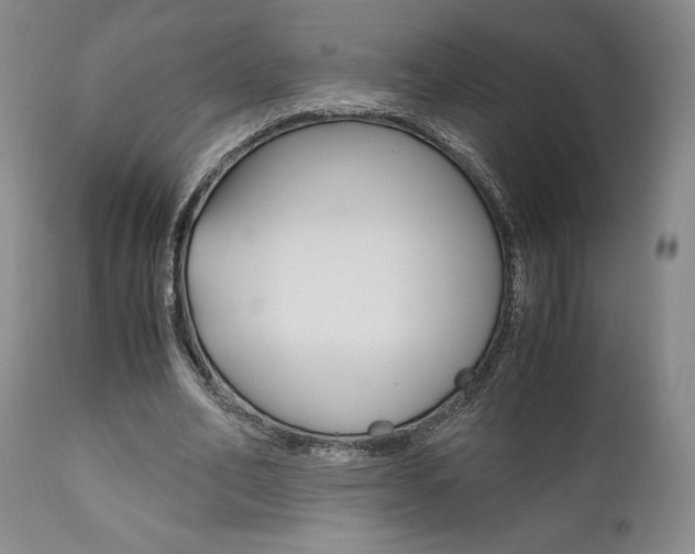 X0000111120582200906301043