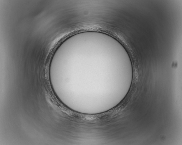 X0000111120583200906301043