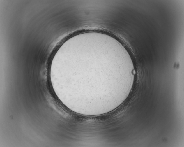 X0000111120584200906301043