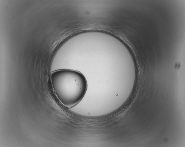 X0000111120585200906301043