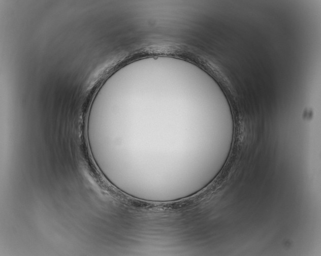 X0000111120586200906301043
