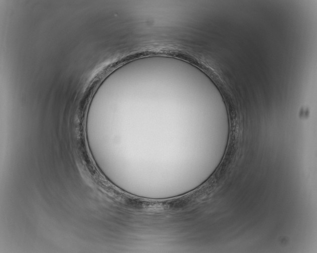 X0000111120587200906301043