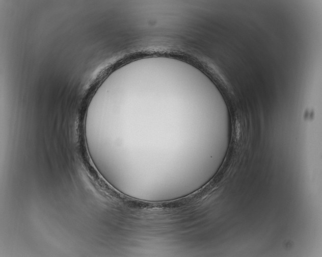 X0000111120588200906301043