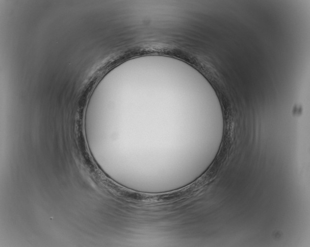 X0000111120591200906301043