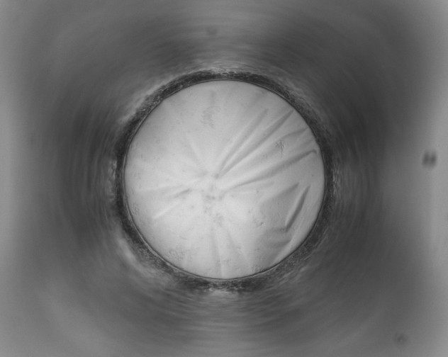 X0000111120592200906301043