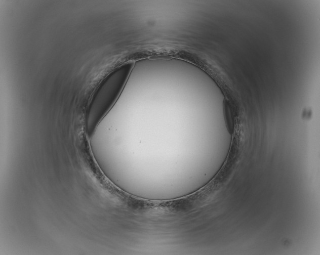 X0000111120593200906301043