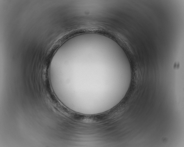 X0000111120596200906301043