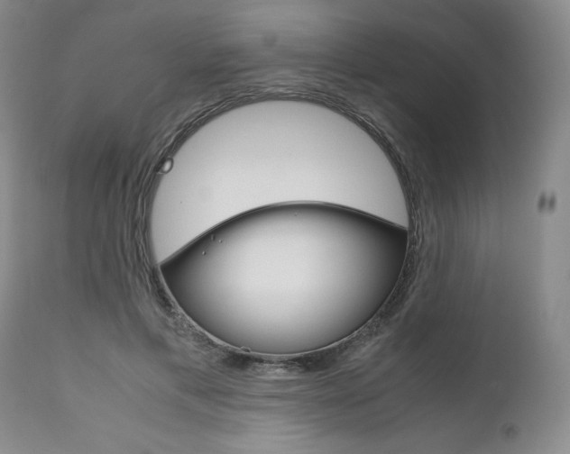 X0000111120597200906301043