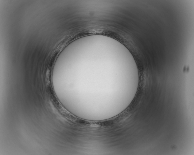 X0000111120598200906301043