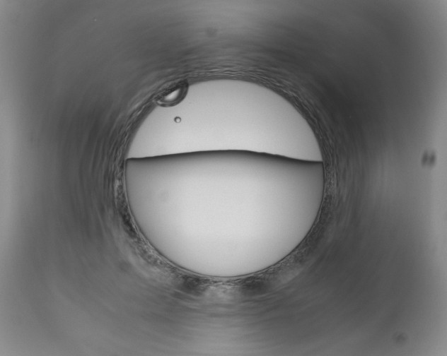 X0000111120599200906301043