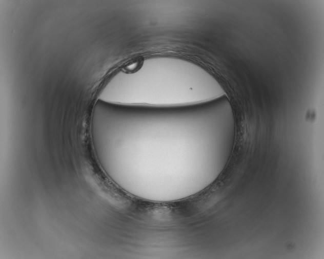 X0000111120600200906301043