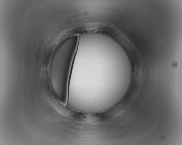 X0000111120601200906301043