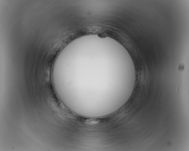 X0000111120602200906301043