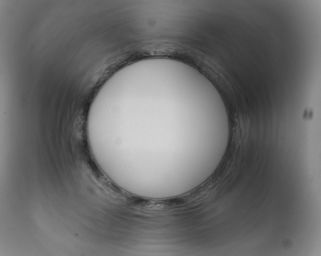 X0000111120604200906301043