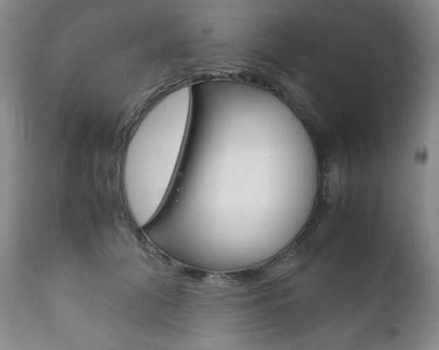 X0000111120608200906301043