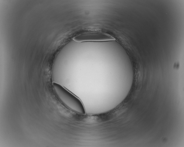 X0000111120609200906301043