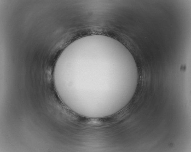 X0000111120610200906301043