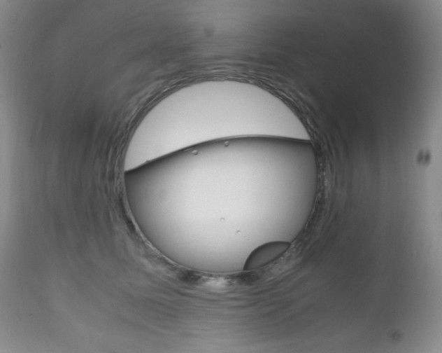 X0000111120611200906301043